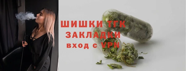 молекула духа Козельск