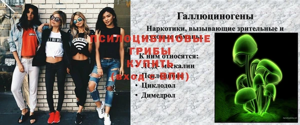 прущая мука Кодинск