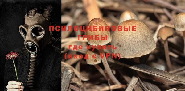 прущая мука Кодинск