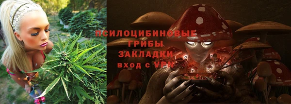 молекула духа Козельск