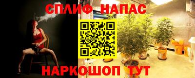 ГАЛЛЮЦИНОГЕННЫЕ ГРИБЫ Гатчина