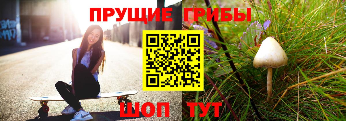 Каспийск  Галлюциногенные грибы мицелий  Псилоцибиновые грибы Magic Shrooms  Вход с VPN 