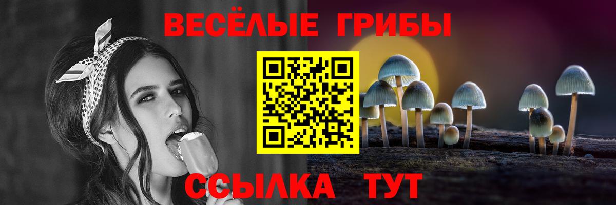Псилоцибиновые грибы Psilocybine cubensis Каспийск