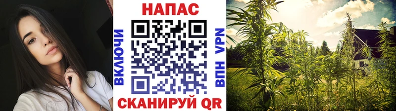 мега онион  закладки  Каспийск  Шишки марихуана VHQ 